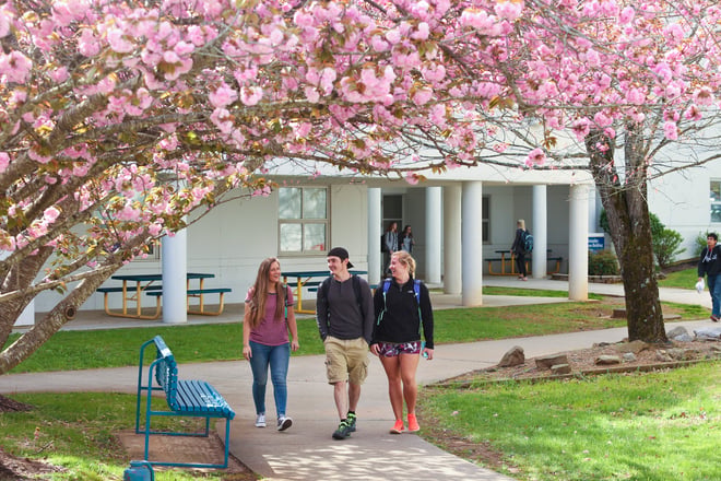 Pellisippi State_Spring-preview-scaled